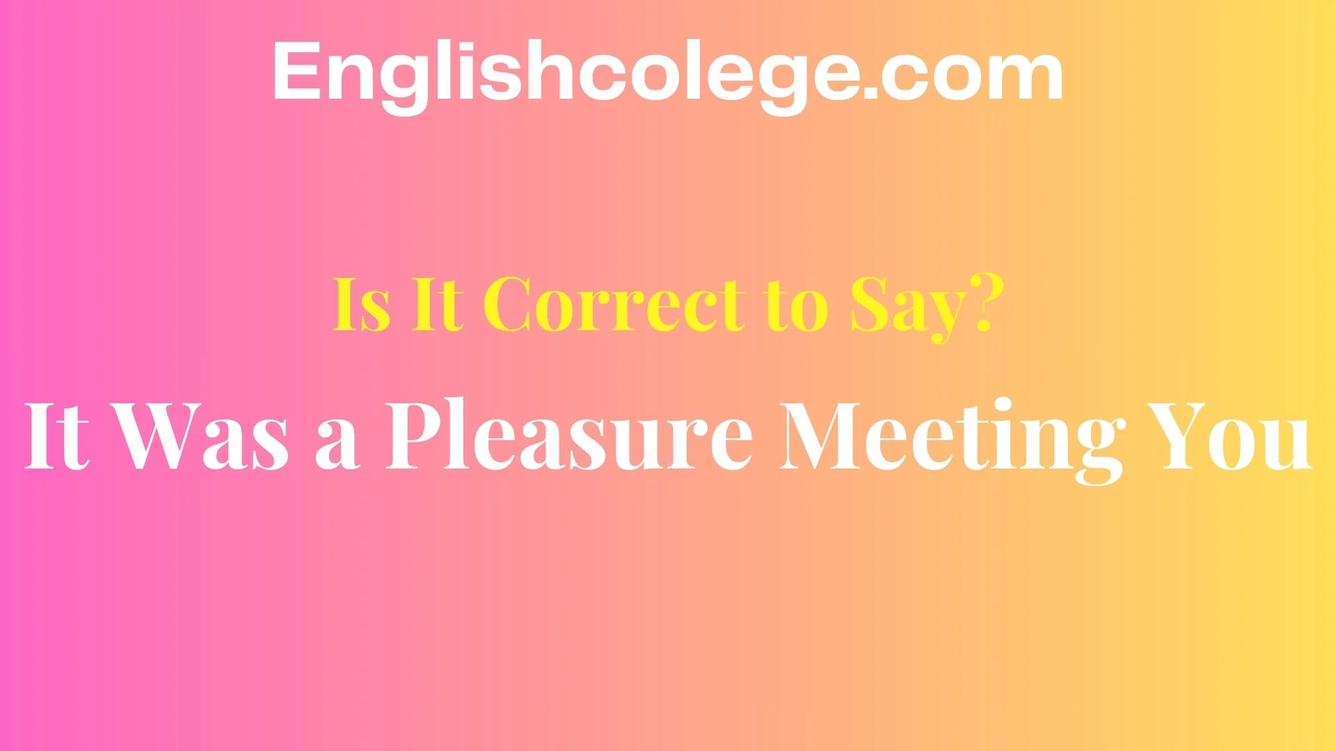 It Was a Pleasure Meeting You