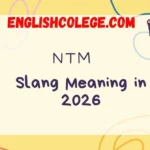 NTM Meaning Slang in 2026