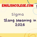 Sigma Meaning Slang in 2026