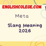 Meta Meaning Slang in 2026
