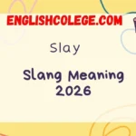Slay Meaning Slang 2026