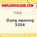 YNS Meaning Slang