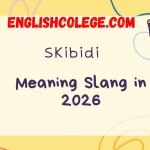 Skibidi Meaning Slang in 2026